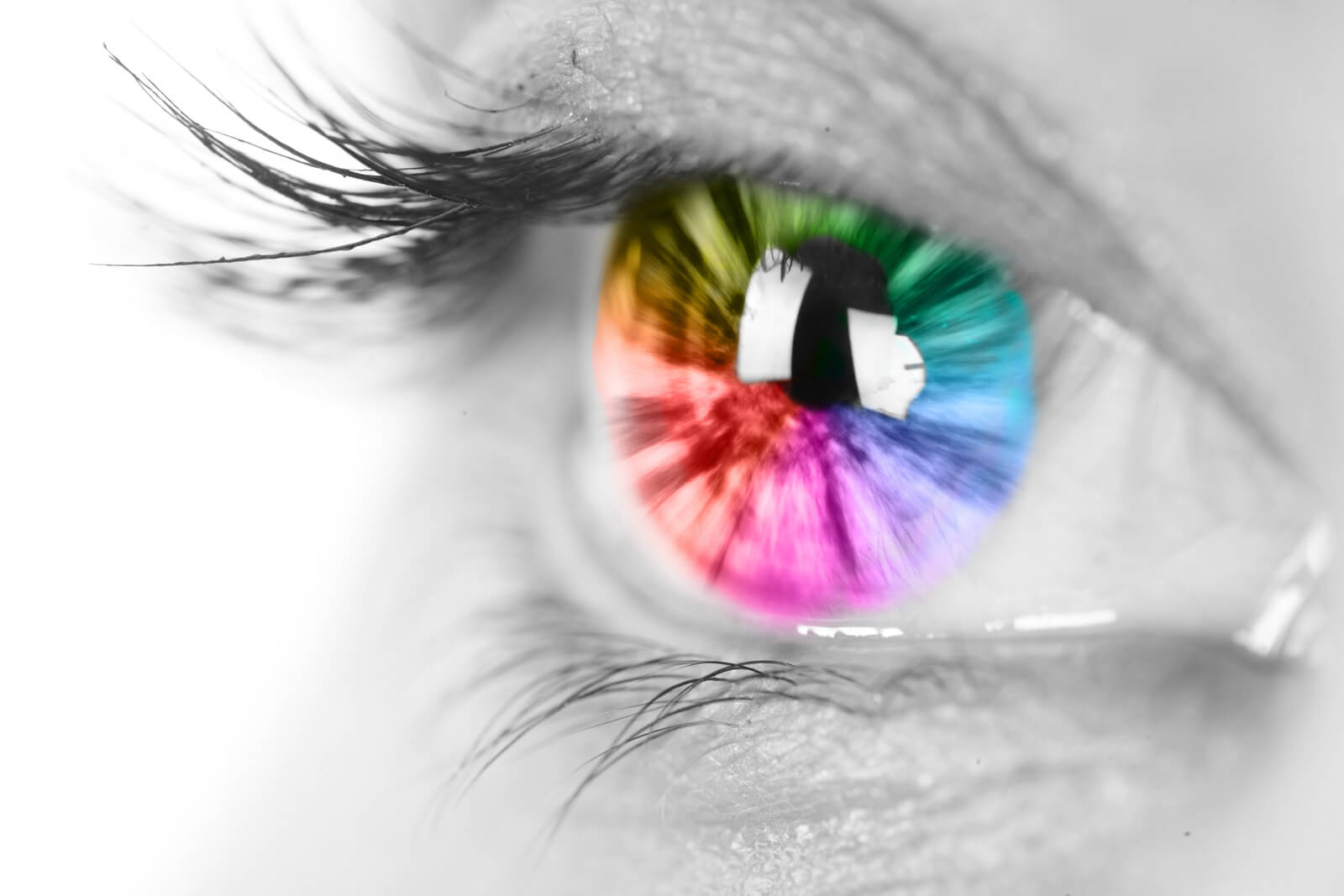 vision
